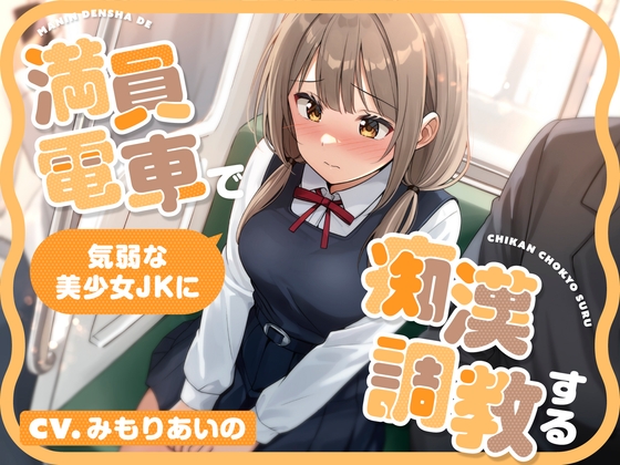 【全編潮吹き】満員電車で気弱な美少女JKに痴○調教する メイン画像